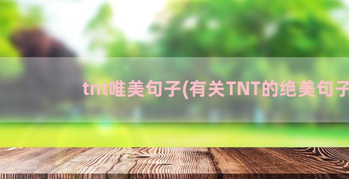 tnt唯美句子(有关TNT的绝美句子)